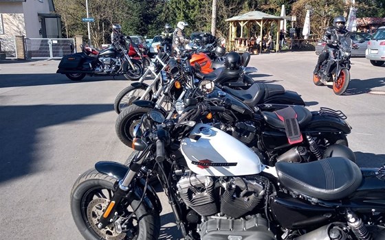 Gebrauchtmotorrad Harley-Davidson Sportster XL 1200 - Bild 2