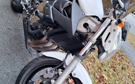 Gebrauchtmotorrad Yamaha XJ6 - Bild 1