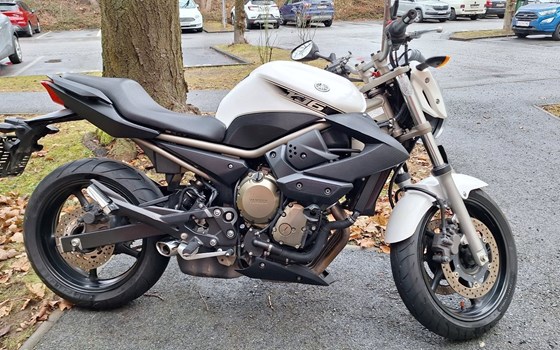 Gebrauchtmotorrad Yamaha XJ6 - Bild 8