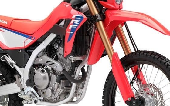 Neufahrzeug Honda CRF300L - Bild 2