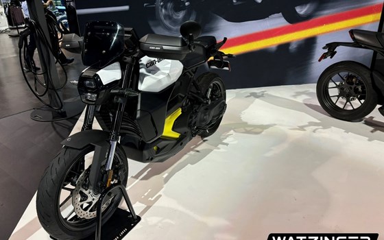 Neufahrzeug Can-Am Pulse 73' - Bild 6 Neufahrzeug Can-Am Pulse 73' - Bild 6