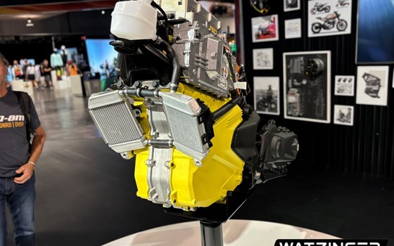 Neufahrzeug Can-Am Pulse 73' - Bild 7 Neufahrzeug Can-Am Pulse 73' - Bild 7