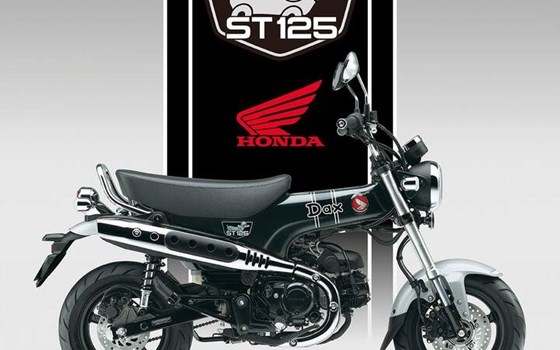 Neufahrzeug Honda Dax 125 - Bild 3