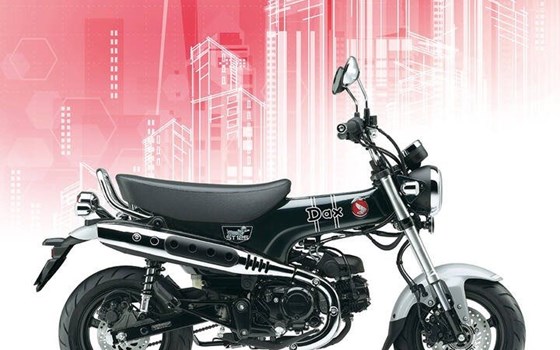 Neufahrzeug Honda Dax 125 - Bild 4