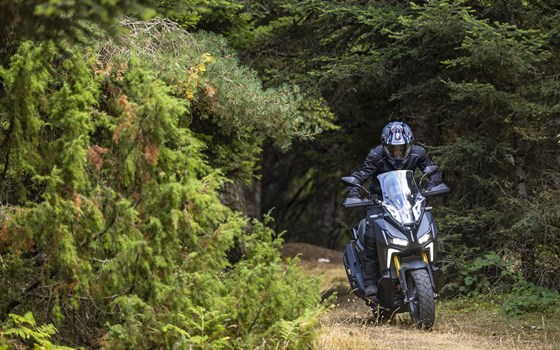 Neufahrzeug Sym ADX 400 TG - Bild 11