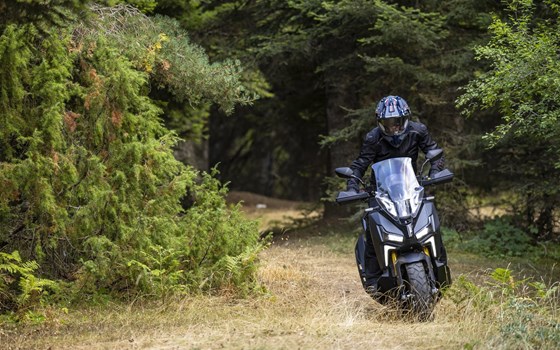 Neufahrzeug Sym ADX 400 TG - Bild 12