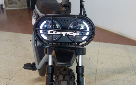 Gebrauchtmotorrad Coopop Rugged GS - Bild 18