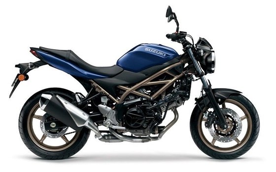 Neufahrzeug Suzuki SV650 - Bild 1