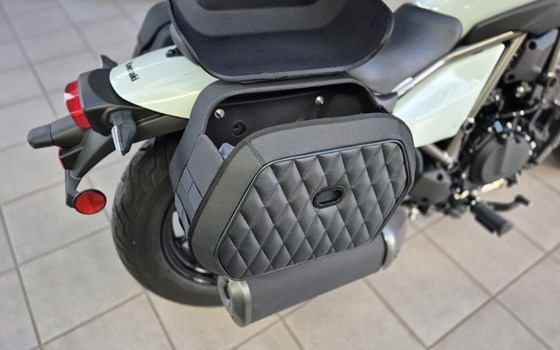 Neufahrzeug Kawasaki Eliminator 500 - Bild 5