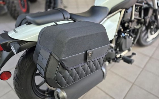 Neufahrzeug Kawasaki Eliminator 500 - Bild 6