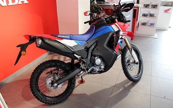 Gebrauchtmotorrad Honda CRF300 Rally - Bild 3