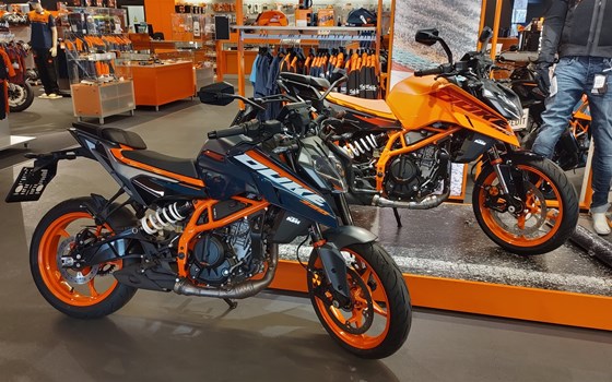Neufahrzeug KTM 390 Duke - Bild 1 Neufahrzeug KTM 390 Duke - Bild 1