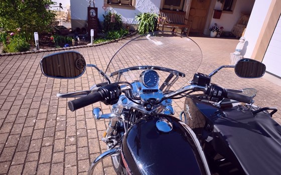 Gebrauchtmotorrad Harley-Davidson Sportster XL 1200T SuperLow - Bild 16