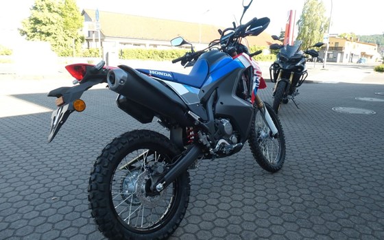 Neufahrzeug Honda CRF300 Rally - Bild 7