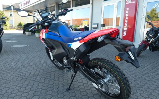 Neufahrzeug Honda CRF300 Rally - Bild 9