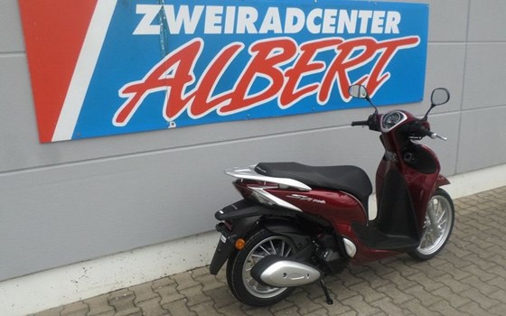 Gebrauchtmotorrad Honda SH Mode 125 - Bild 6