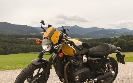 Gebrauchtmotorrad Triumph Street Cup - Bild 3 Gebrauchtmotorrad Triumph Street Cup - Bild 3