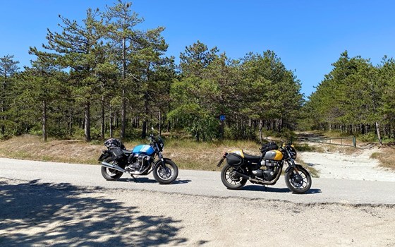 Gebrauchtmotorrad Triumph Street Cup - Bild 7 Gebrauchtmotorrad Triumph Street Cup - Bild 7