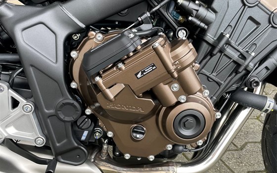 Neufahrzeug Honda CB650R E-Clutch - Bild 7