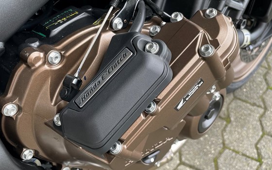 Neufahrzeug Honda CB650R E-Clutch - Bild 8