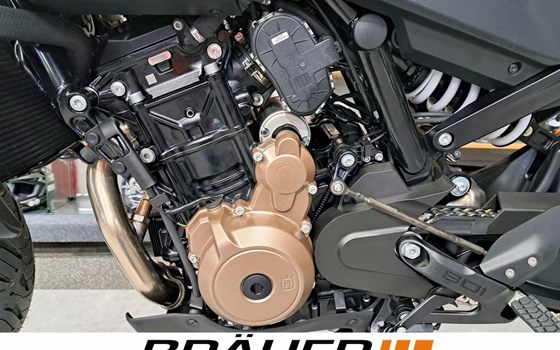 Neufahrzeug Husqvarna Vitpilen 801 - Bild 14