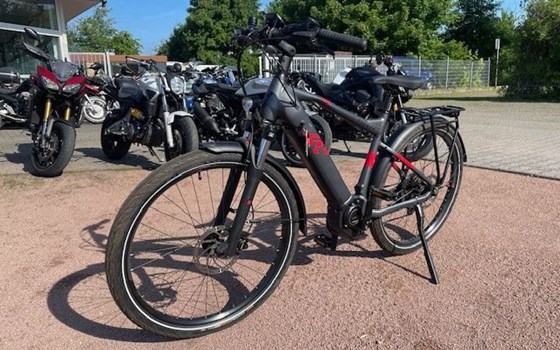 Neufahrzeug Raymon TourRay E - Bild 3