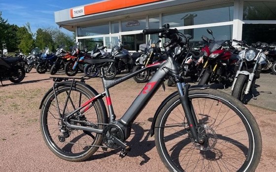 Neufahrzeug Raymon TourRay E - Bild 6