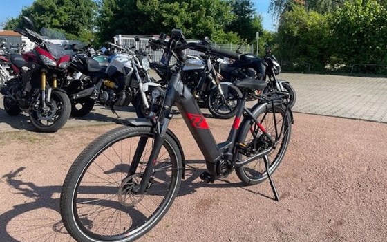 Neufahrzeug Raymon TourRay E - Bild 6