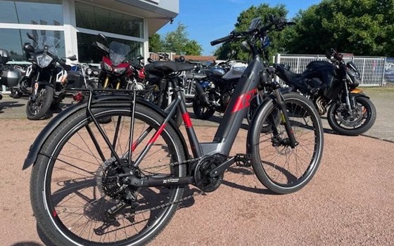 Neufahrzeug Raymon TourRay E - Bild 9