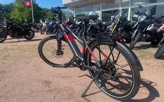 Neufahrzeug Raymon TourRay E - Bild 3