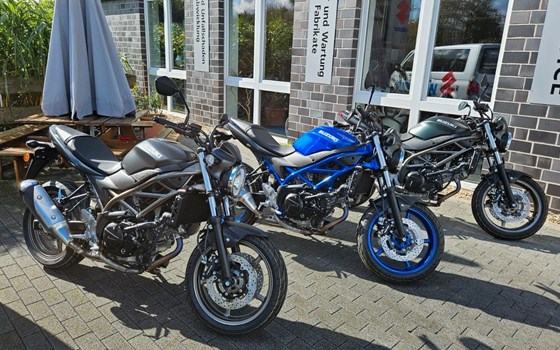 Neufahrzeug Suzuki SV650 - Bild 1