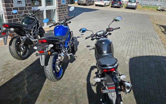 Neufahrzeug Suzuki SV650 - Bild 3