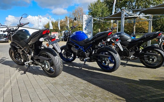 Neufahrzeug Suzuki SV650 - Bild 4