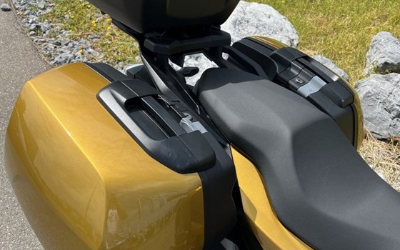 Motorrad Occasion BMW F 900 XR - Bild 3