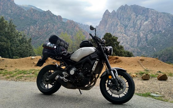 Motorrad Occasion Yamaha XSR900 - Bild 1