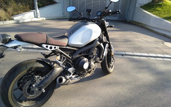Motorrad Occasion Yamaha XSR900 - Bild 3