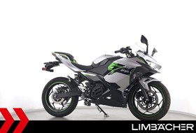 Kawasaki Ninja e-1