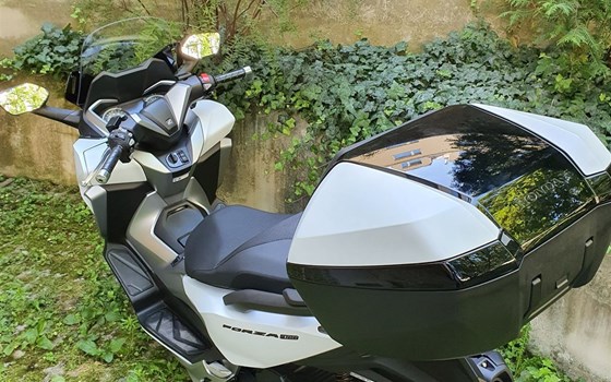 Gebrauchtmotorrad Honda Forza 300 - Bild 3 Gebrauchtmotorrad Honda Forza 300 - Bild 3