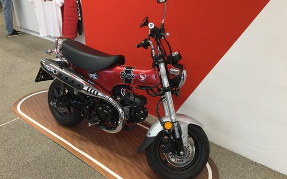 Gebrauchtmotorrad Honda Dax 125 - Bild 9 Gebrauchtmotorrad Honda Dax 125 - Bild 9