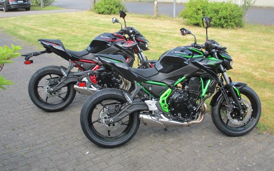 Neufahrzeug Kawasaki Z650 - Bild 5