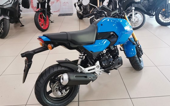 Gebrauchtmotorrad Honda MSX125 Grom - Bild 2