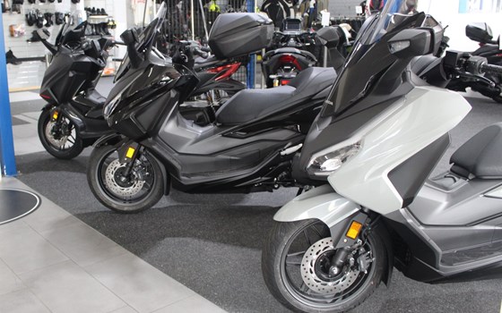 Neufahrzeug Honda Forza 350 - Bild 8