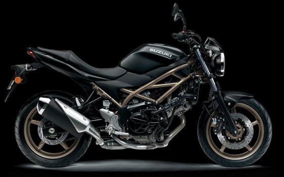Neufahrzeug Suzuki SV650 - Bild 1