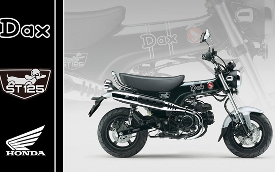 Neufahrzeug Honda Dax 125 - Bild 1 Neufahrzeug Honda Dax 125 - Bild 1