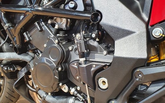 Neufahrzeug MV Agusta Turismo Veloce 800 R - Bild 3