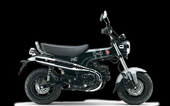 Neufahrzeug Honda Dax 125 - Bild 1