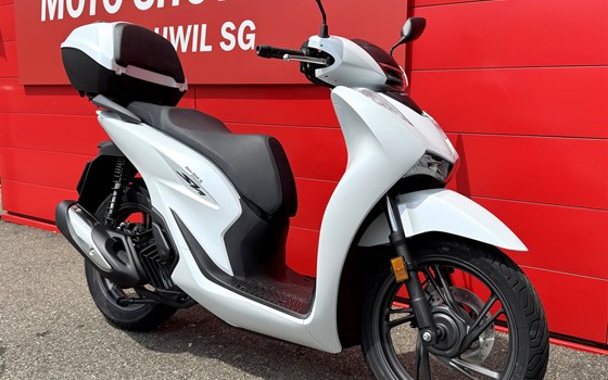 Motorrad Occasion Honda SH125 - Bild 2