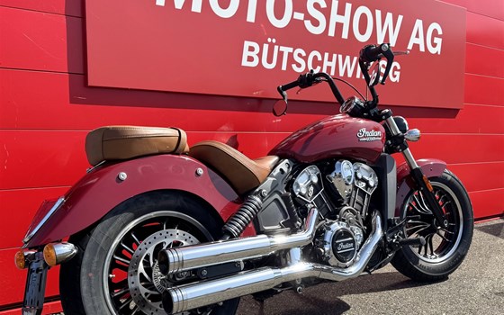 Motorrad Occasion Indian Scout - Bild 3