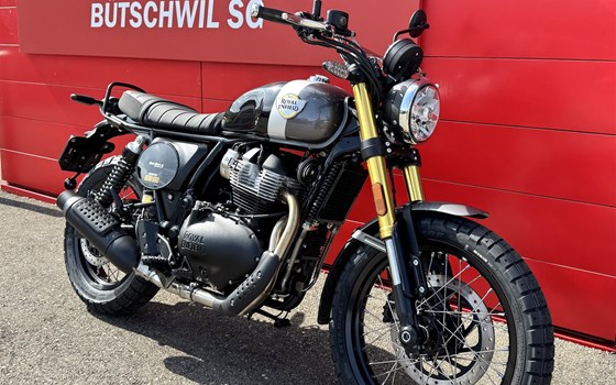 Neufahrzeug Royal Enfield Bear 650 - Bild 2