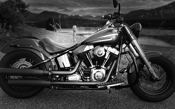 Gebrauchtmotorrad Harley-Davidson Softail Slim FLS - Bild 1